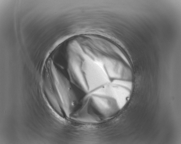 X0000077981525200611171715