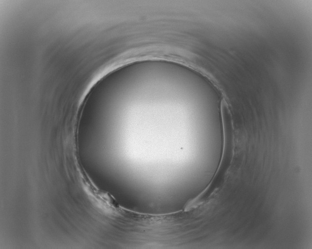 X0000077981530200611171715