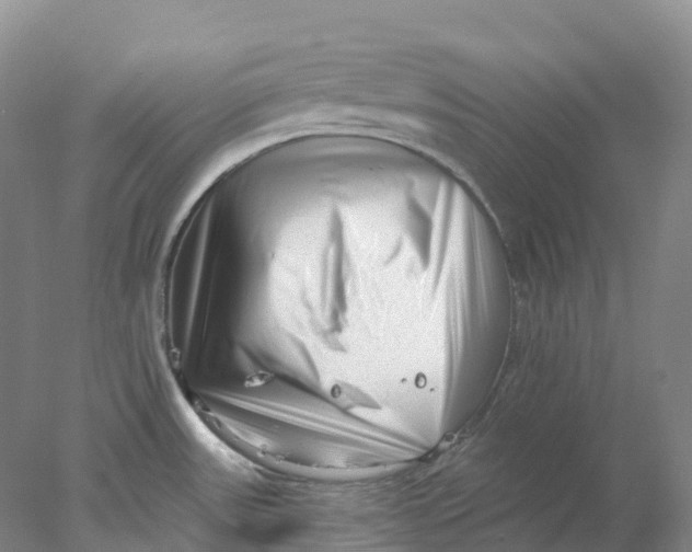 X0000077981531200611171715