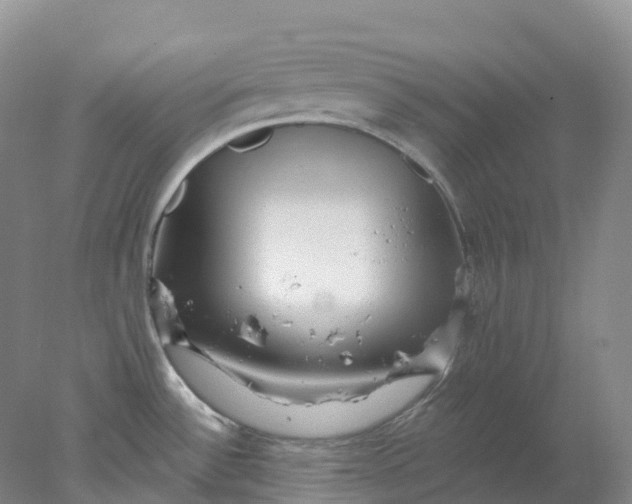 X0000077981532200611171715