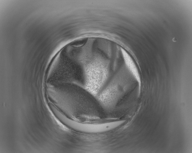 X0000077981533200611171715