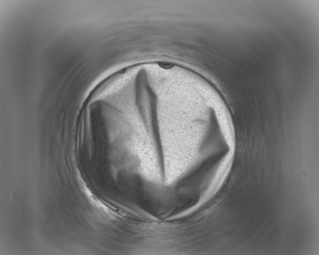 X0000077981534200611171715