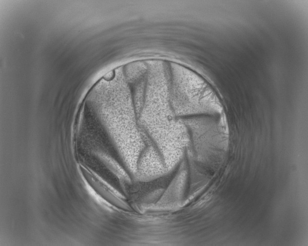 X0000077981535200611171715