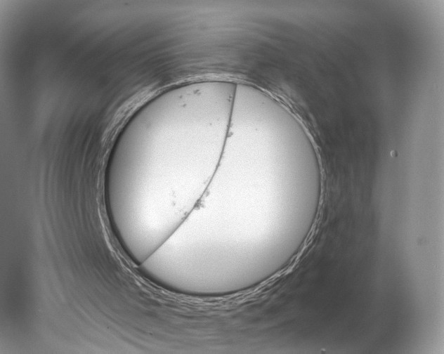 X0000077980001200611251357