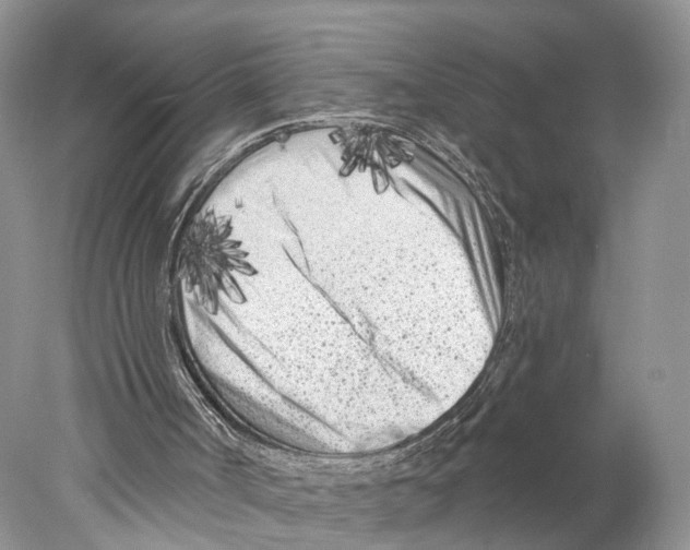 X0000077980002200611251357