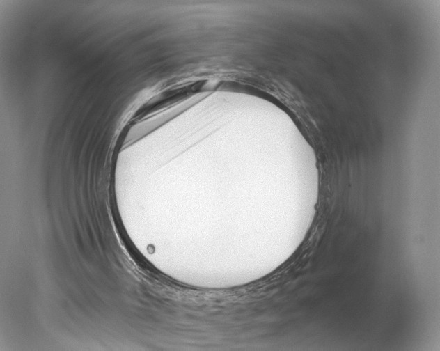 X0000077980003200611251357