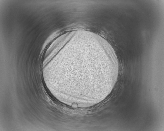 X0000077980004200611251357