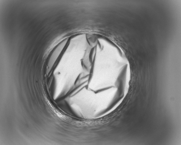 X0000077980005200611251357