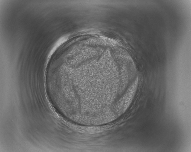 X0000077980006200611251357