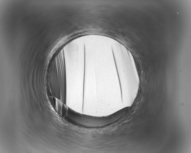 X0000077980007200611251357