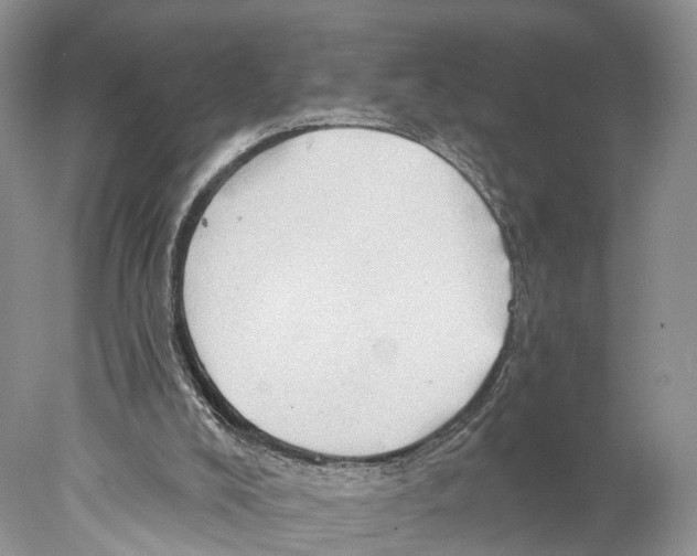 X0000077980008200611251357