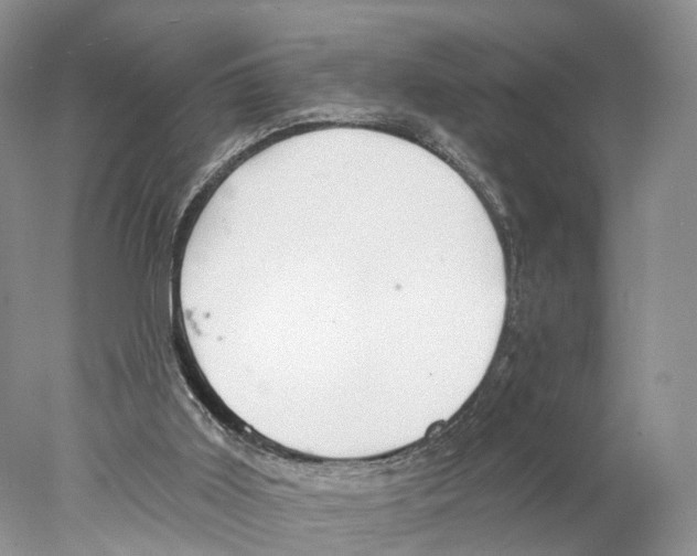 X0000077980011200611251357