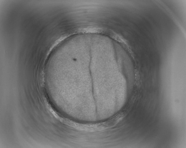 X0000077980012200611251357