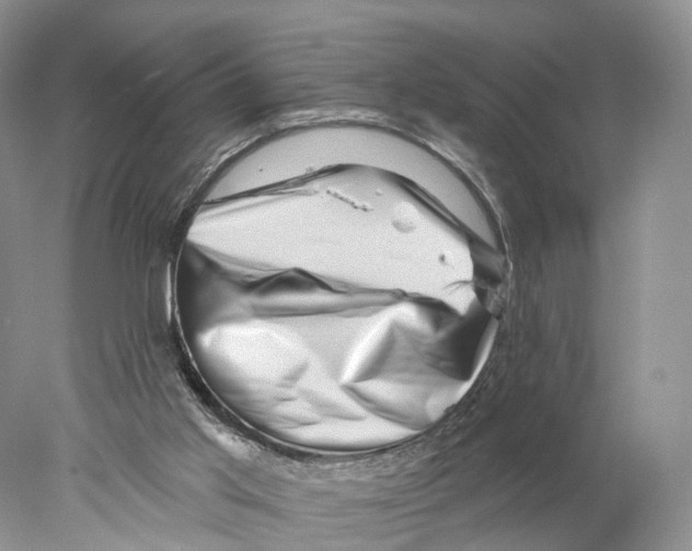 X0000077980013200611251357