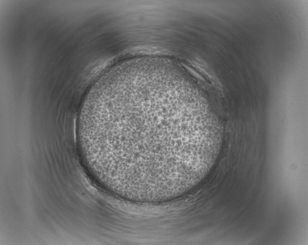 X0000077980014200611251357