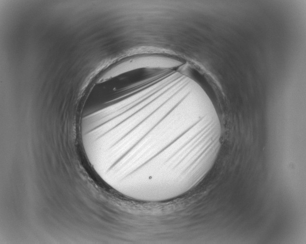 X0000077980015200611251357