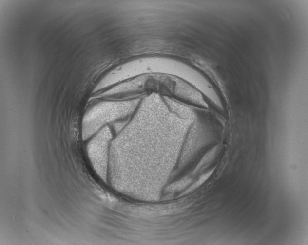 X0000077980017200611251357