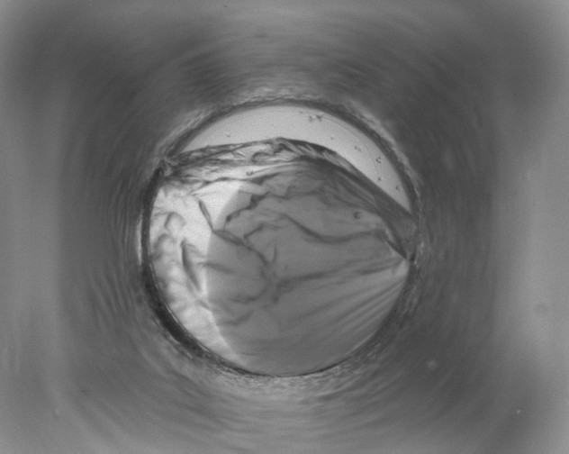 X0000077980019200611251357