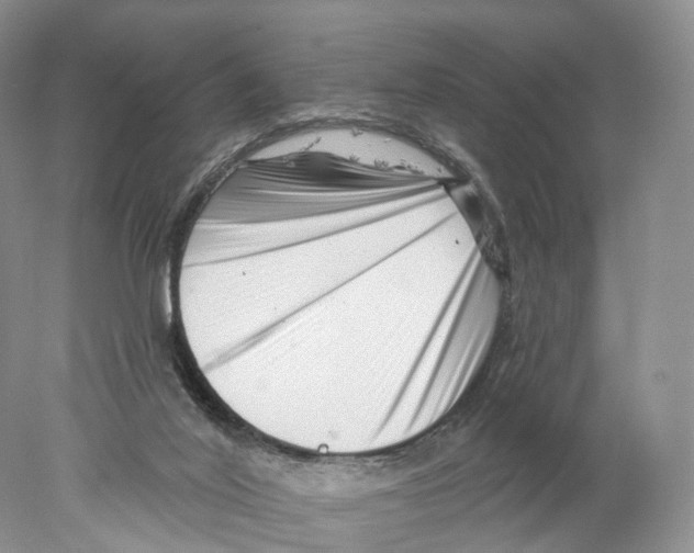 X0000077980020200611251357