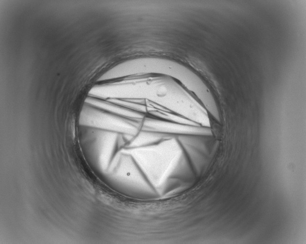 X0000077980021200611251357