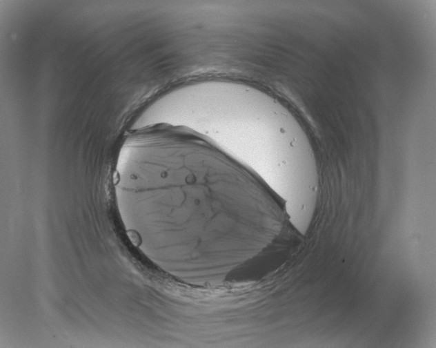 X0000077980023200611251357