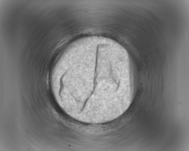 X0000077980024200611251357