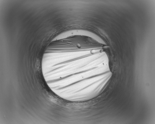 X0000077980025200611251357