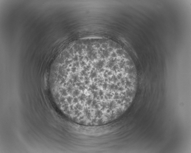 X0000077980026200611251357