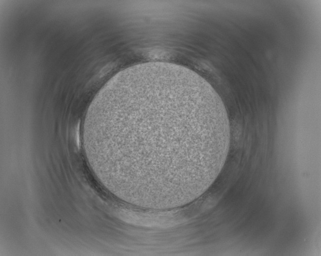 X0000077980028200611251357