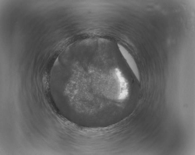 X0000077980029200611251357