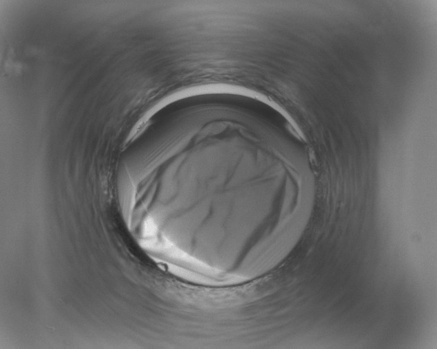 X0000077980031200611251357