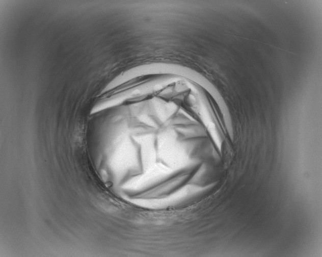 X0000077980033200611251357