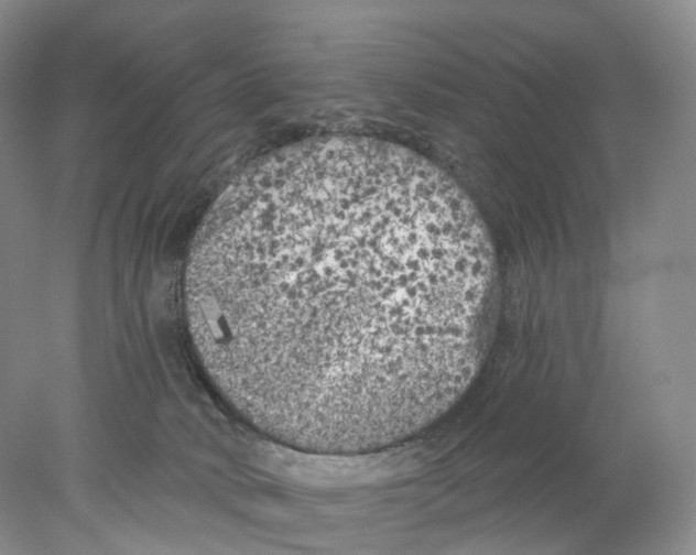 X0000077980034200611251357