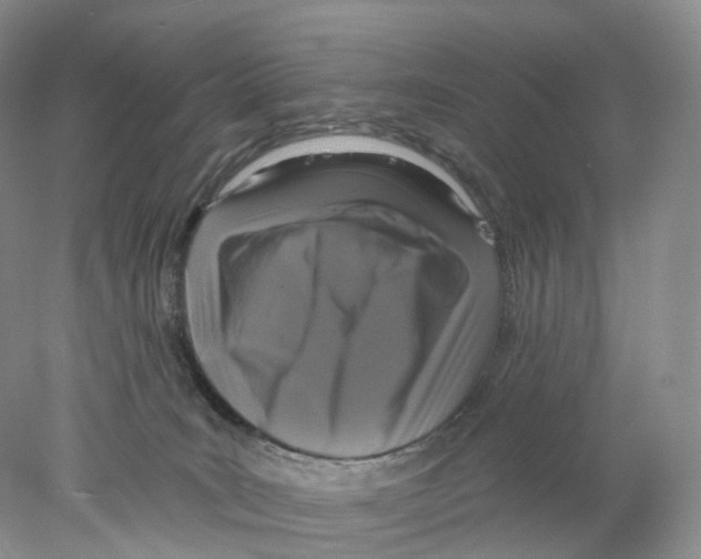 X0000077980035200611251357