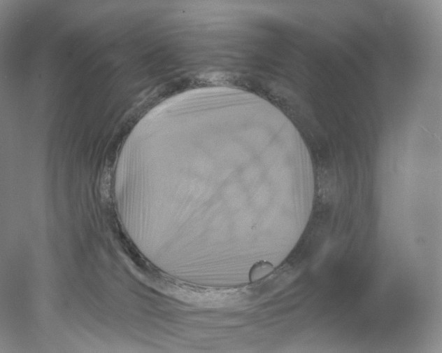 X0000077980036200611251357