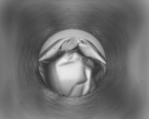 X0000077980037200611251357