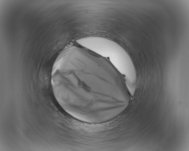 X0000077980039200611251357