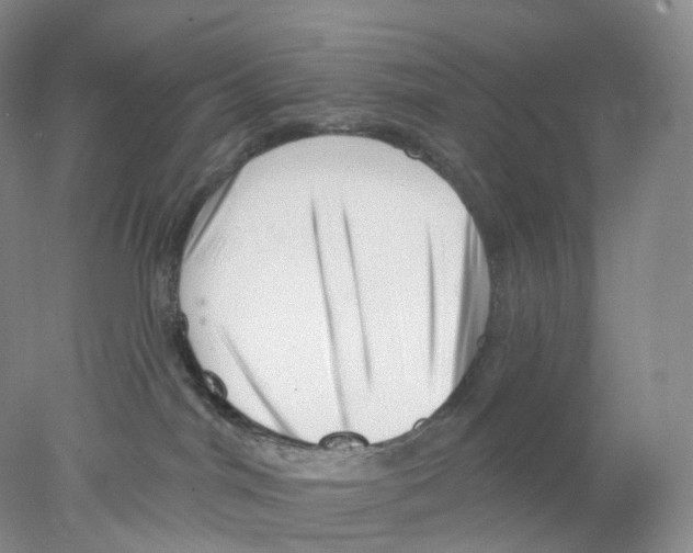 X0000077980044200611251357