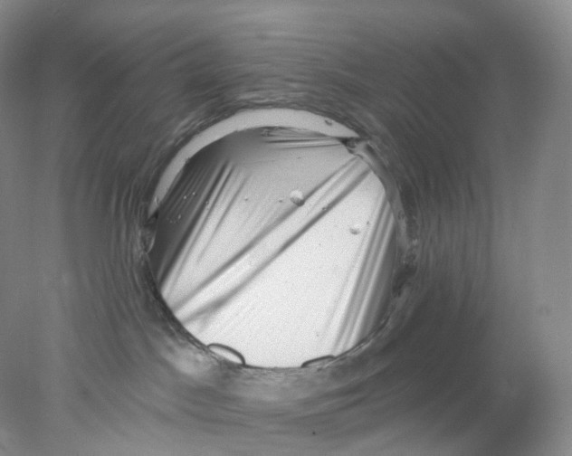 X0000077980045200611251357