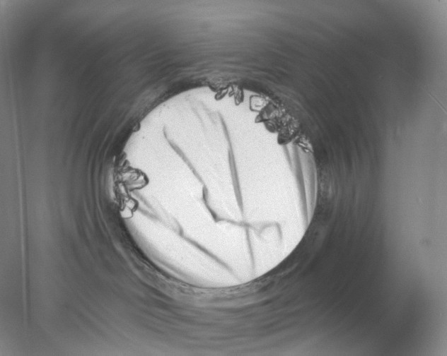 X0000077980046200611251357