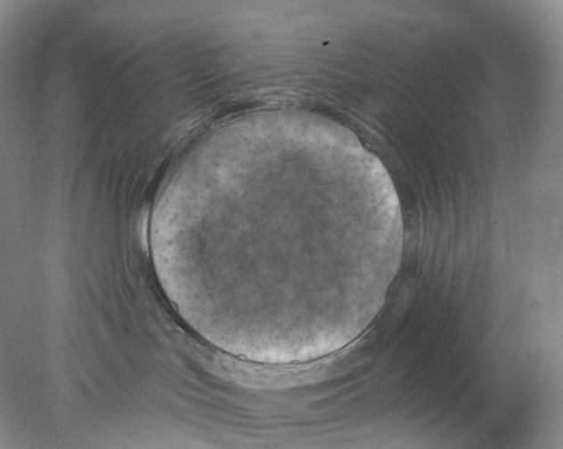 X0000077980047200611251357