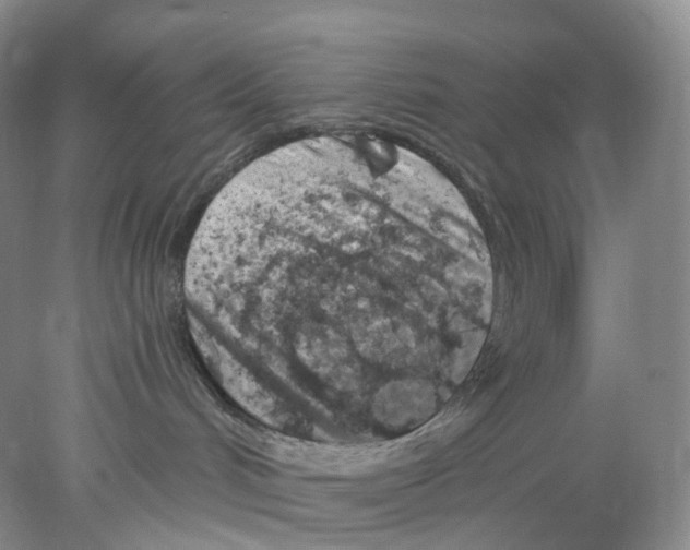 X0000077980048200611251357