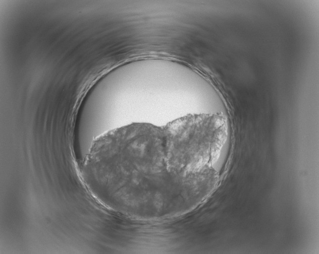 X0000077980049200611251356