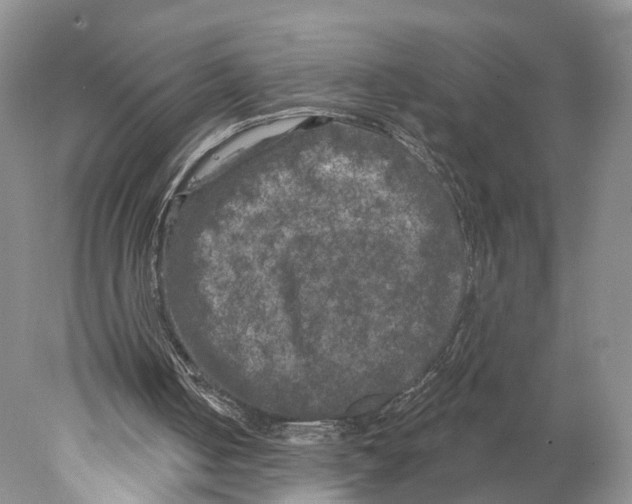 X0000077980050200611251356