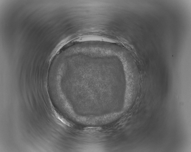 X0000077980051200611251356