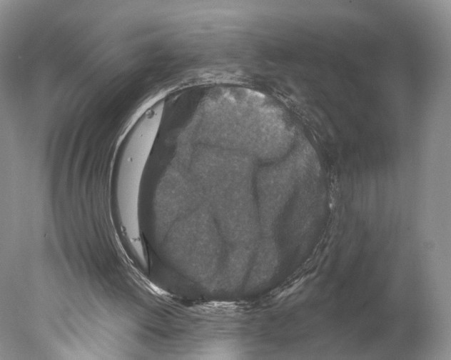 X0000077980052200611251356