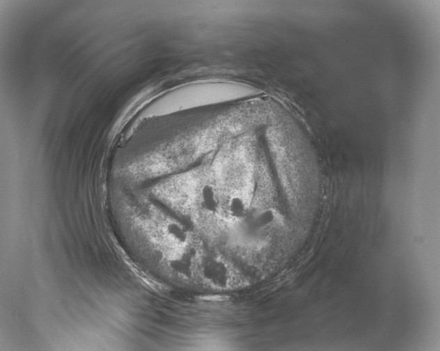 X0000077980053200611251356