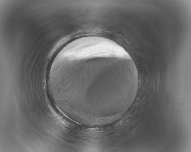 X0000077980054200611251356