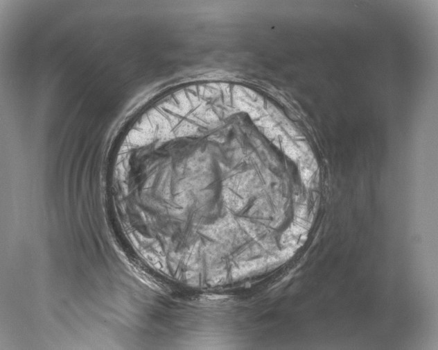 X0000077980055200611251356