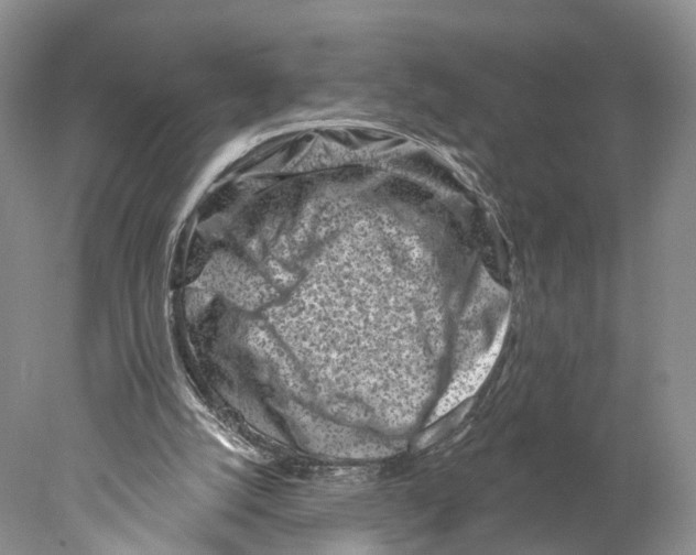 X0000077980056200611251356